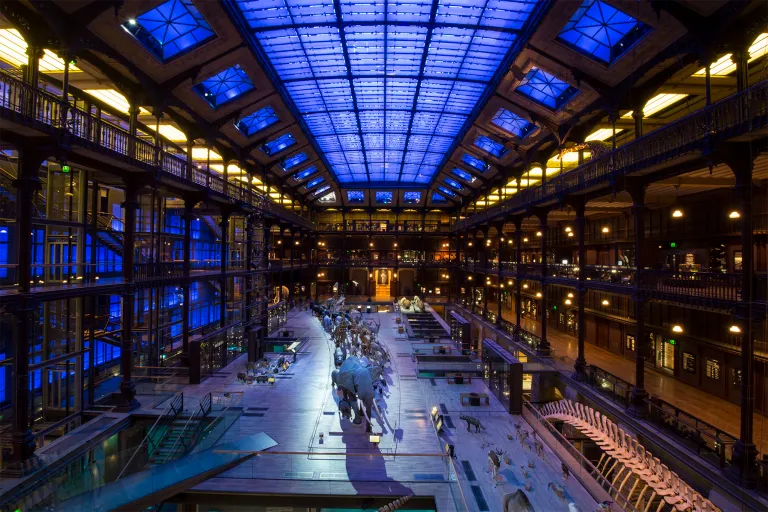 Amadeus Installs Massive Custom Designed Speaker System for French National Museum of Natural History