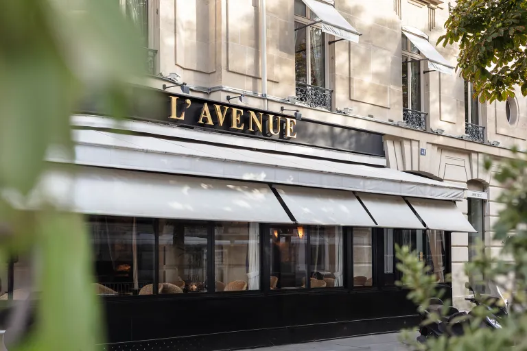 Amadeus at l'Avenue